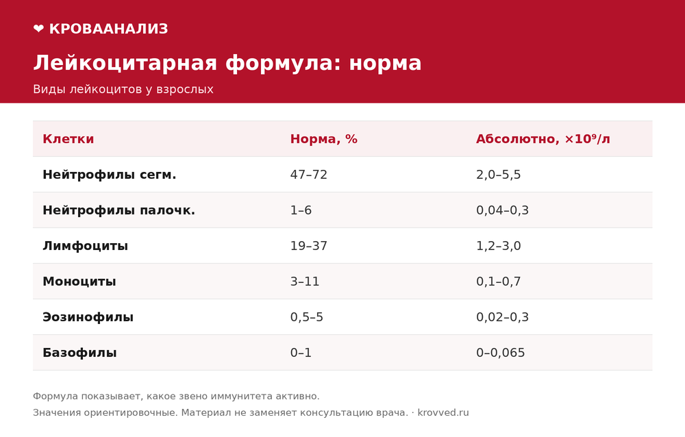 Таблица нормы лейкоцитарной формулы: нейтрофилы, лимфоциты, моноциты, эозинофилы и базофилы в процентах и абсолютных значениях