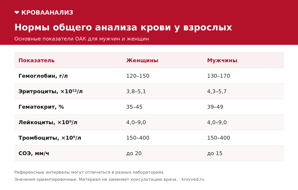 Таблица норм общего анализа крови у взрослых: гемоглобин, эритроциты, гематокрит, лейкоциты, тромбоциты и СОЭ для мужчин и женщин